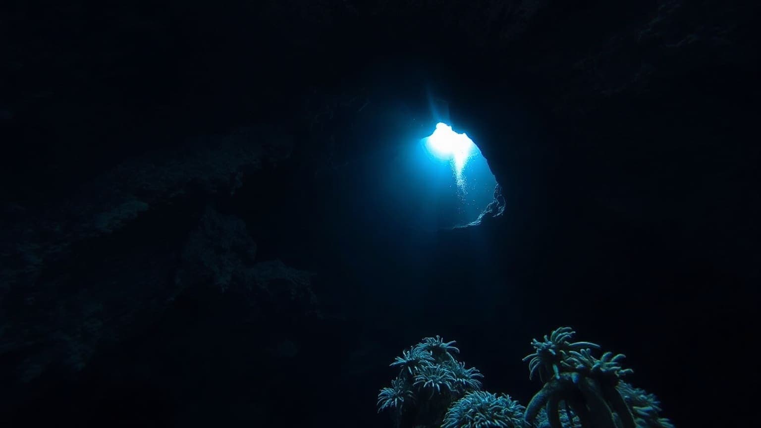 Dark water below forty metres